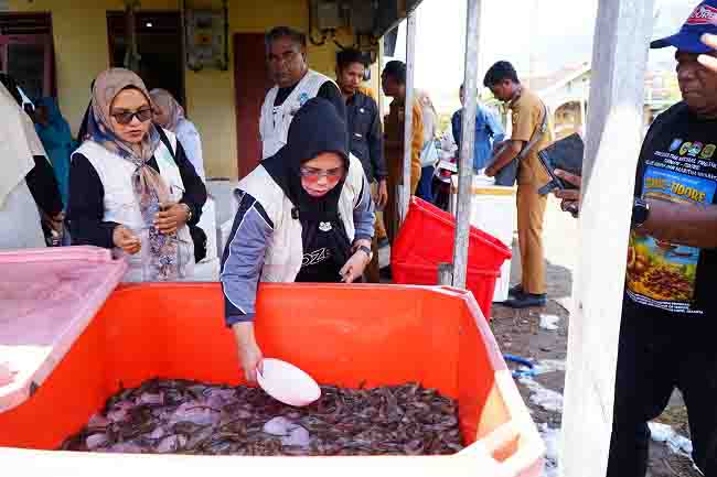 Ketua Tim Penggerak PKK Kota Tidore Kepulauan Hj Rahmawati Muhammad Sinen saat menghadiri proses panen ke 3 udang vaname yang dikelola kelompok pembudidaya ikan dan udang Kelurahan Dowora