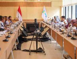 Wali Kota Tidore Kepulauan Muhammad Sinen melakukan audiensi strategis dengan Menteri Kesehatan